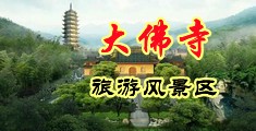 骚穴被操的好爽3d视频中国浙江-新昌大佛寺旅游风景区